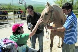 aspace terapia animales. aspace terapia animales.