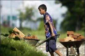 niño trabajando niño trabajando